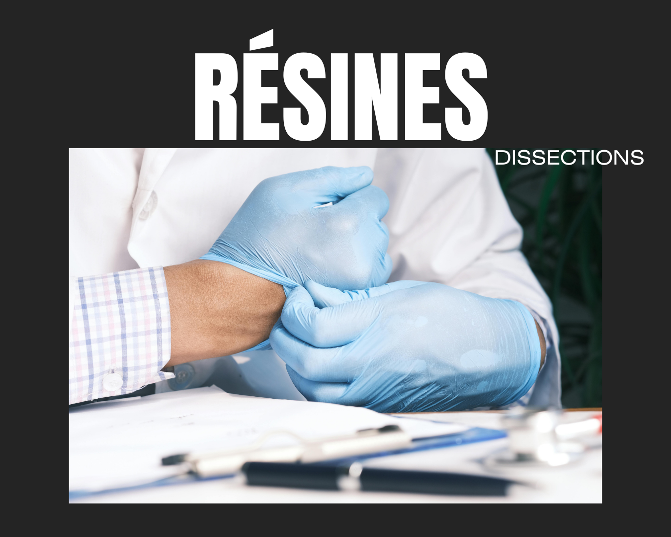 Atelier Dissection_Résines