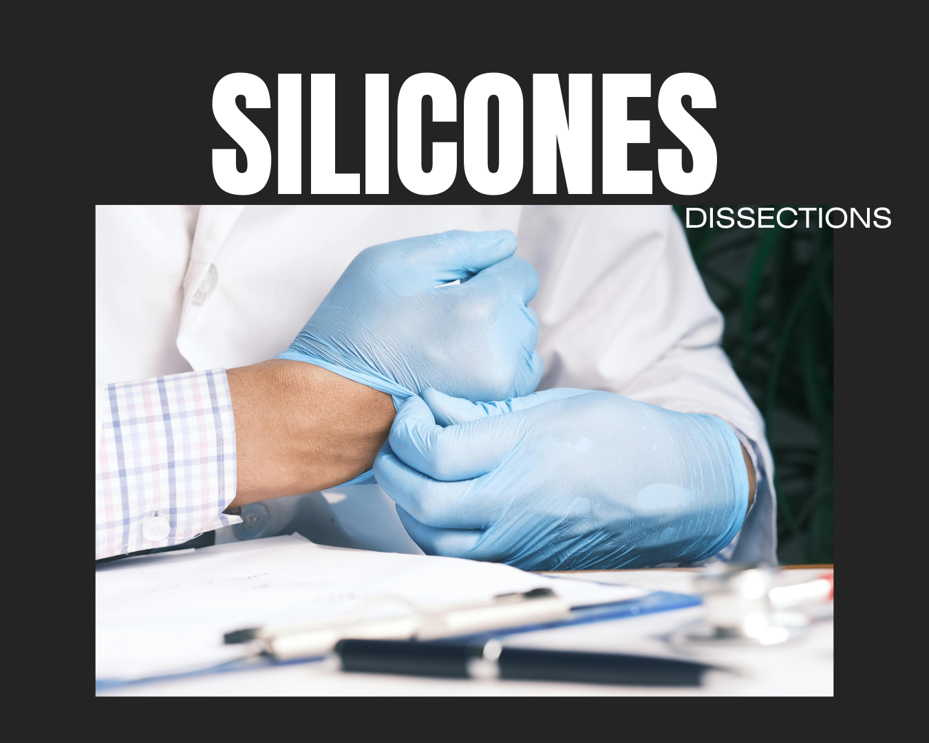 Atelier Dissection_Silicones