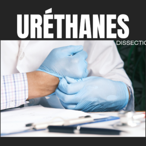 Dissection - Uréthanes